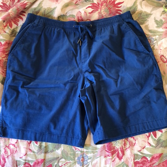 GAP Size Large Pull-On Short Cotton/Spandex Classic Blue Elastic & Tie $49 NEW - Picture 15 of 16